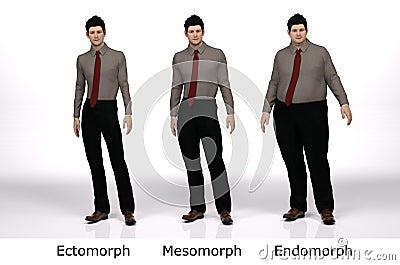 3D Render : standing male body type ie. skinny type,muscular type,heavy weight Cartoon Illustration