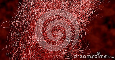 3D render. System many small capillaries branch out of the large blood. Stock Photo
