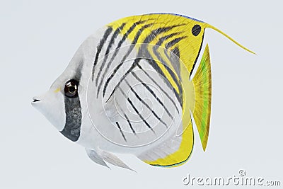 3D Render of Threadfin Buterflyfish Stock Photo