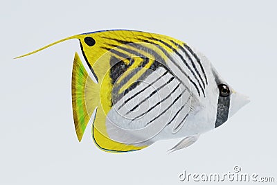 3D Render of Threadfin Buterflyfish Stock Photo