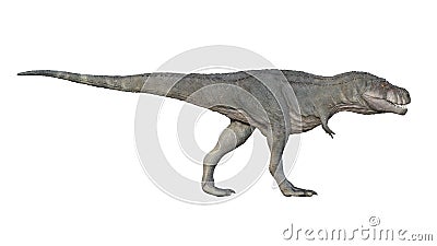 3d render of Tyrannosaurus rex on a white background Stock Photo