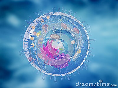 a healthy human cell Cartoon Illustration