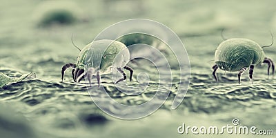 House dust mites Cartoon Illustration