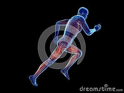 a joggers muscles Cartoon Illustration