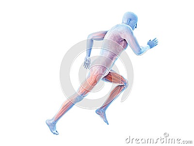 a joggers muscles Cartoon Illustration