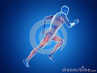 a joggers muscles Cartoon Illustration