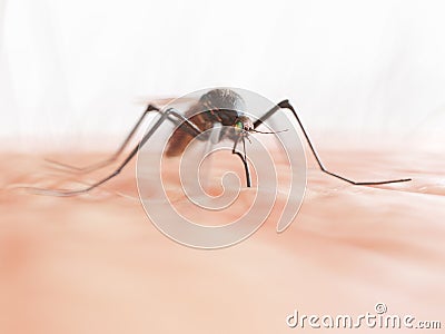 A mosquito Cartoon Illustration