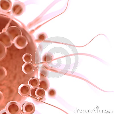 Fertilize a human egg cell Cartoon Illustration