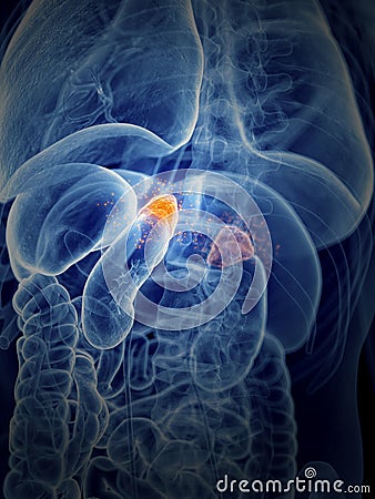 The adrenal glands producing hormons Cartoon Illustration