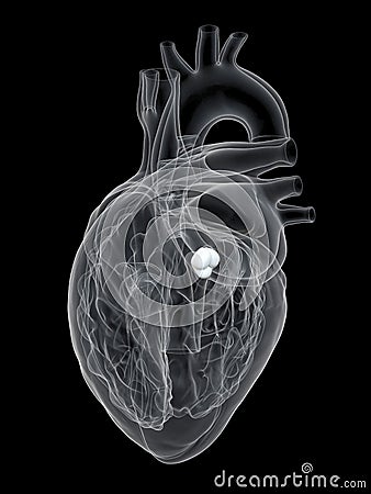 The aortic valve Cartoon Illustration