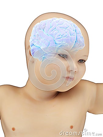 A babys brain Cartoon Illustration