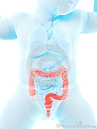 A babys colon Cartoon Illustration