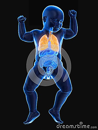 A babys lung Cartoon Illustration