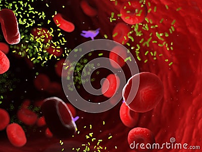 Bacterias in an artery Cartoon Illustration