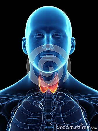 A diseased thyroid gland Cartoon Illustration