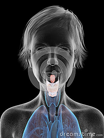 An elder females larynx Cartoon Illustration