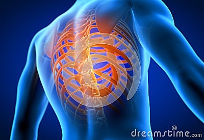 3d rendered medically accurate illustration of a man having a painful back Cartoon Illustration