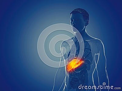 A mans liver Cartoon Illustration