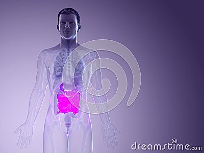 A mans small intestine Cartoon Illustration