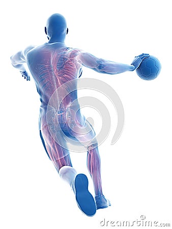 The muscles of a handball player Cartoon Illustration