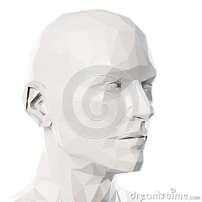 A poly style head Cartoon Illustration