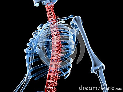 3d rendered medically accurate illustration of a skeleton with painful back spine Cartoon Illustration