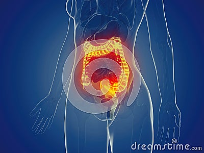 A womans large intestine Cartoon Illustration