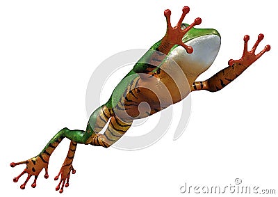 3D Rendering Amazon Tree Frog on White Stock Photo