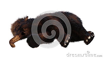 3D Rendering Baby Woolly Mammoth on White Stock Photo