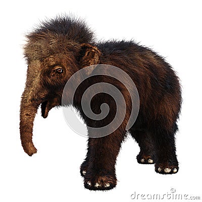 3D Rendering Baby Woolly Mammoth on White Stock Photo