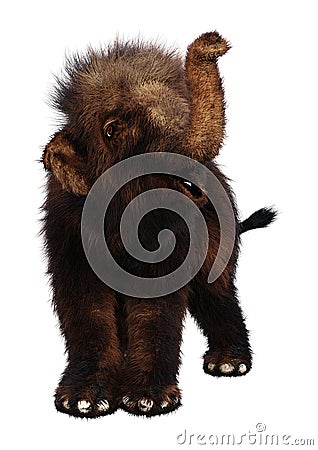 3D Rendering Baby Woolly Mammoth on White Stock Photo