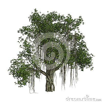 3D Rendering Banyan Tree on White Stock Photo