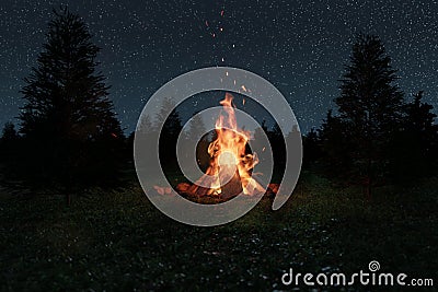 3d rendering of big bonfire with sparks and particles in front of spruce trees and starry sky Stock Photo