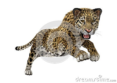 3D Rendering Big Cat Jaguar Stock Photo