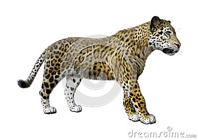 3D Rendering Big Cat Jaguar on White Stock Photo