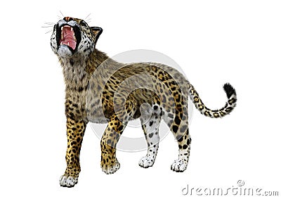 3D Rendering Big Cat Jaguar on White Stock Photo