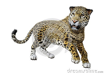 3D Rendering Big Cat Jaguar on White Stock Photo