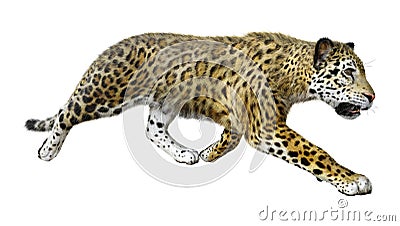 3D Rendering Big Cat Jaguar on White Stock Photo