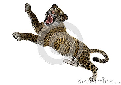 3D Rendering Big Cat Jaguar on White Stock Photo