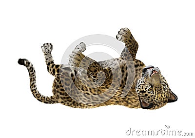 3D Rendering Big Cat Jaguar on White Stock Photo