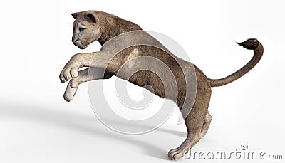 3d rendering of haunting puma on white background Stock Photo