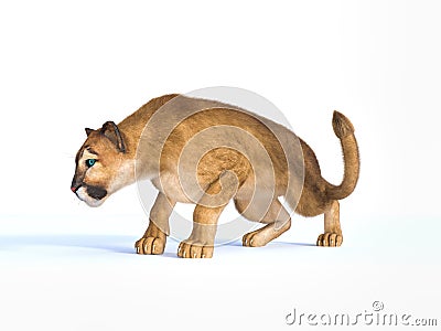 3d rendering of haunting puma on white background Stock Photo