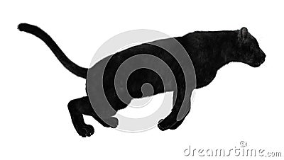 3D Rendering Black Panther on White Stock Photo