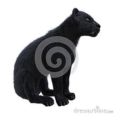 3D Rendering Black Panther on White Stock Photo