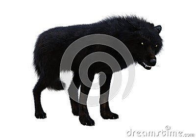 3D Rendering Black Wolf on White Stock Photo