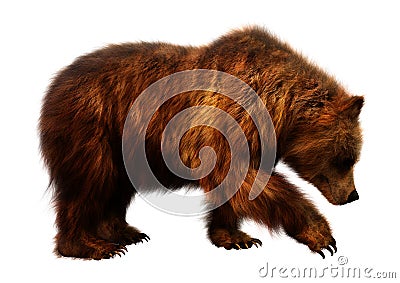 3D Rendering Brown Bear on White Stock Photo