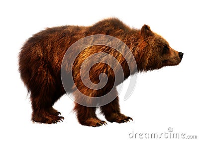 3D Rendering Brown Bear on White Stock Photo