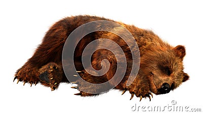 3D Rendering Brown Bear on White Stock Photo