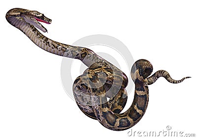 3D Rendering Burmese Python on White Stock Photo