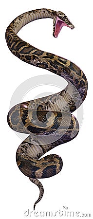 3D Rendering Burmese Python on White Stock Photo